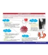The Approach: Gastrointestinal Diseases - Medi Maps - Image 2