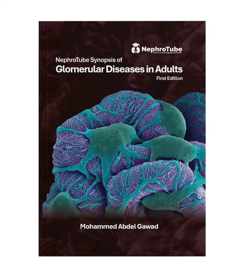NephroTube Glomerular Diseases book cover NephroTube Glomerular Diseases in Adults book cover