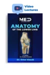 Anatomy of the Lower Limb - iMed Book