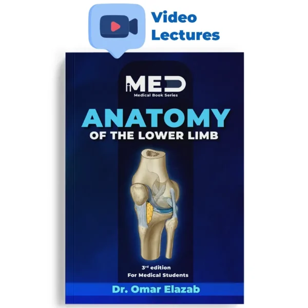 Anatomy of the Lower Limb – iMed